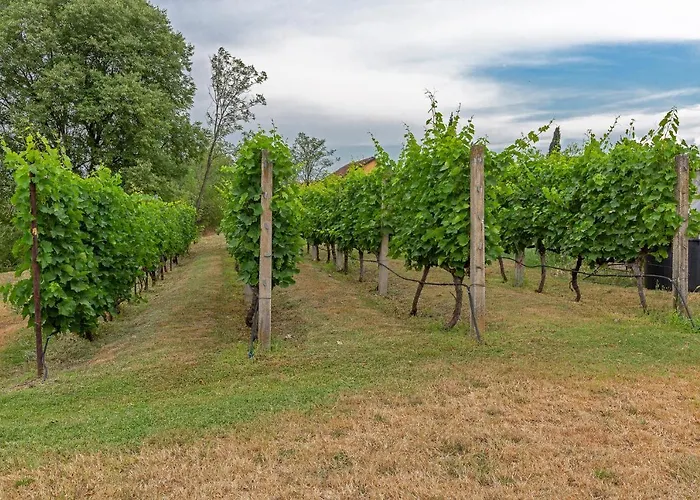 Вілла Boljevic *